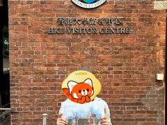 -香港大学