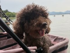 -黄尚皇小龙虾-螃蟹-深夜食堂(皇后公园店)