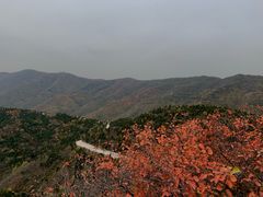 -那家小馆•北京菜•烤鸭(香山店)