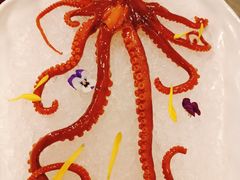 冰镇八爪鱼-神仙馆(衡山路店)