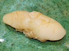 扇贝寿司-鮨青(恒基名人购物中心店)