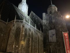 -斯蒂芬主教座堂(Stephansdom)