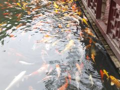 -兴福老面馆(寺路街店)