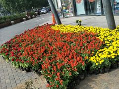 -拿渡麻辣香锅(管庄店)