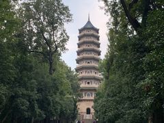 -灵谷景区