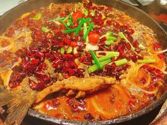 -老板恋上鱼(高新万达店)