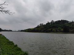 -南国桃园旅游度假区