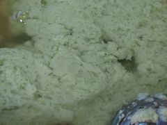 -人和水上飘(第一家店)