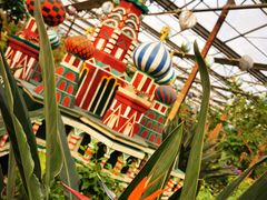 -南宫五洲植物乐园