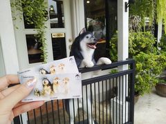 -TrueLove @ Neverland (Husky Cafe)