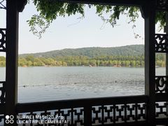 -西湖外事游船(花港观鱼码头)