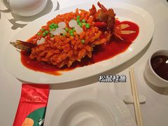 松鼠桂鱼-玫瑰厅上海菜(兴国路店)