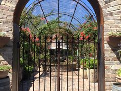 -The Grounds of Alexandria