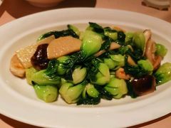 -芙蓉堂(武汉天地店)