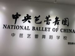 -中央芭蕾舞团·中芭艺蕾(酒仙桥明星校区)