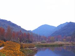 -广州市石门国家森林公园