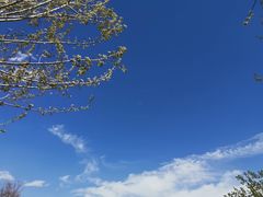 -招商银行(北京上地支行)