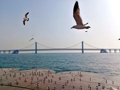 -星海广场