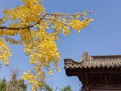 -钱王祠