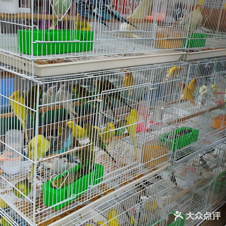 冒雨去探查鱼市搬迁进度