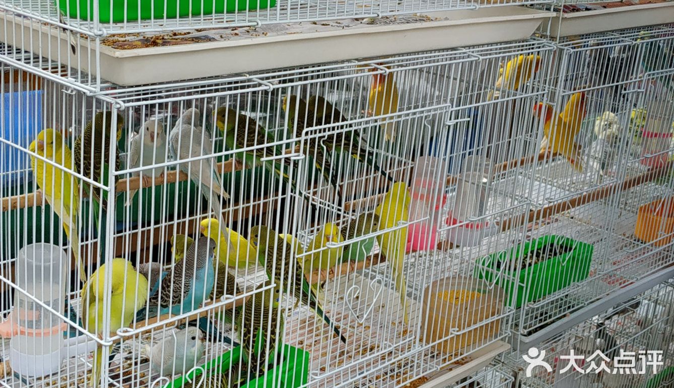 冒雨去探查鱼市搬迁进度