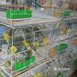 冒雨去探查鱼市搬迁进度