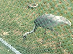 -武清南湖绿博园