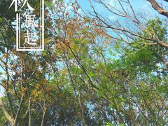 -巢湖姥山岛
