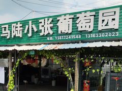 -马陆小张葡萄园农家乐