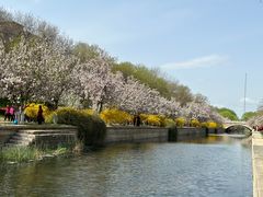-海棠花溪(元大都城垣遗址公园)