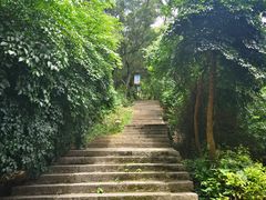 -青芝山风景名胜区