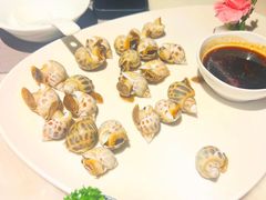 白灼花螺-富黎华海鲜大酒楼(正大广场店)