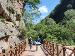 -青峰峡国家森林公园