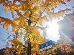 -阿婆油墩子(五里桥路188弄小区店)