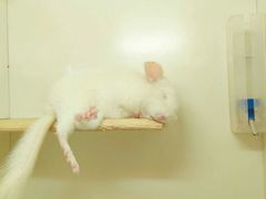 -龙猫仔乐园(惠福东路店)