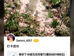 -春树下·树屋花房西餐厅(罍街AS1980店)