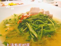 上汤有机时蔬-馋遇江南·精致湖景雅宴(东方之门店)