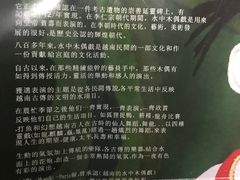 -金龙水上木偶剧院