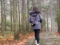 -庐山风景区花径公园