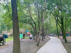 -溱湖国家湿地公园