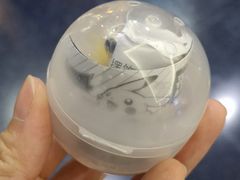 -TOYSRUS玩具反斗城(厦门新生活广场店)