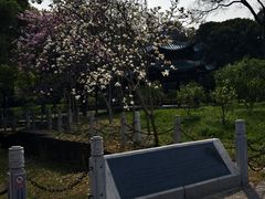 -柳侯公园