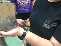 -藦茜花园宠物主题亲子互动体验馆(国顺东路店)