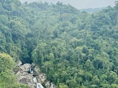 -海南热带雨林国家公园吊罗山景区