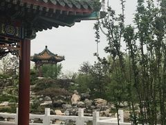 -武清南湖绿博园