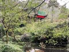 -黄山翡翠谷景区