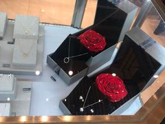 -ROSEONLY诺誓(国际广场购物中心店)