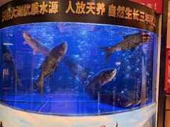 -潇湘码头·鲜湘菜(清河店)