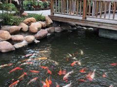 -紫竹轩私房菜(江南西路店)