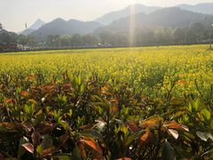 -韶山毛泽东同志故居